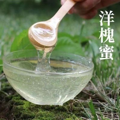 【蜜典蜂业】纯蜂蜜外贸工厂百花蜜黑蜂椴树雪蜜批发零售图3
