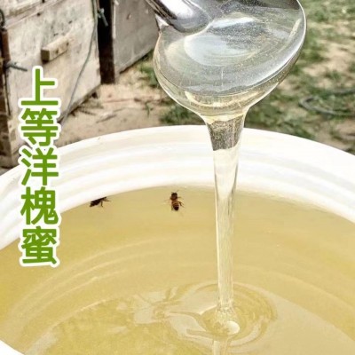 【蜜典蜂业】纯蜂蜜外贸工厂百花蜜黑蜂椴树雪蜜批发零售图2