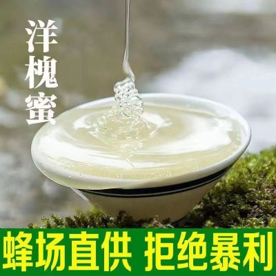 【蜜典蜂业】纯蜂蜜外贸工厂百花蜜黑蜂椴树雪蜜批发零售图4