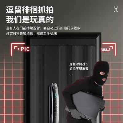 3D人脸识别监控指纹锁全自动密码锁家用电子智能锁抓拍对讲掌静脉图2