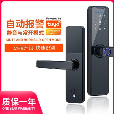 指纹锁家用入户门酒店公寓密码锁涂鸦一握开智能锁室内门防盗锁图5