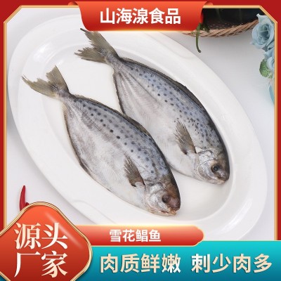 雪花鲳鱼 斑点鲳鱼海鲜冻品食品 酒店餐饮食材供应冷冻雪花鲳图5