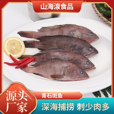 定制青石斑鱼小石斑鱼 50-100-200克一条 散装或者单冻图5