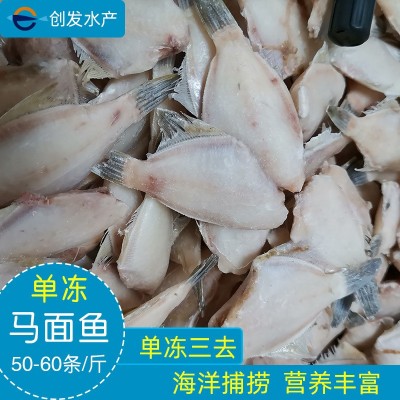 速冻水产品 单冻三去50-60条斤马面鱼冷冻达仔鱼可加工耗儿鱼厂家图4