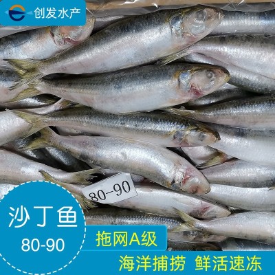拖网A 80-90条沙丁鱼海捕速冻鱼罐头料冷冻萨丁鱼鱼饵钓饵饲料鱼图5
