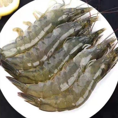 白虾净重3.3斤厄瓜多尔大虾批发海洋虾家用海水虾蓝冠白熊 食用虾图3