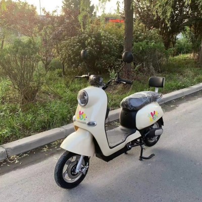 工厂直销国标小龟电动车 48v60v成人代步电瓶电动自行车厂家批发图5