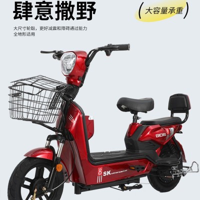 厂家新国标金鹰电动车外贸电瓶车超轻骑行两人亲子老人成人代步车图2