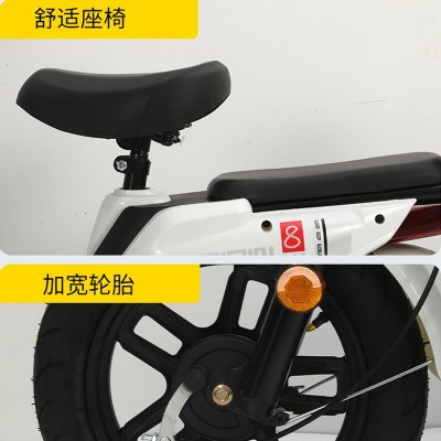 厂家新国标金鹰电动车外贸电瓶车超轻骑行两人亲子老人成人代步车图3