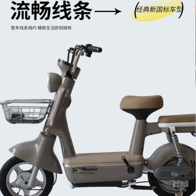 厂家批发跨境超轻骑行两人亲子老人成人代步车新国标电动车外贸电图4