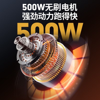 电动自行车女士小型超长续航锂电池48v60v成人高端国标高速电瓶车图3