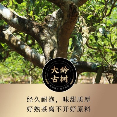 普洱茶熟茶砖 新益号云南勐海老班章古树普洱熟茶金砖熟普洱茶叶图2