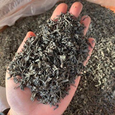 潮汕特色炒茶 浓香炒青绿茶散装茶叶批发一斤包邮图3