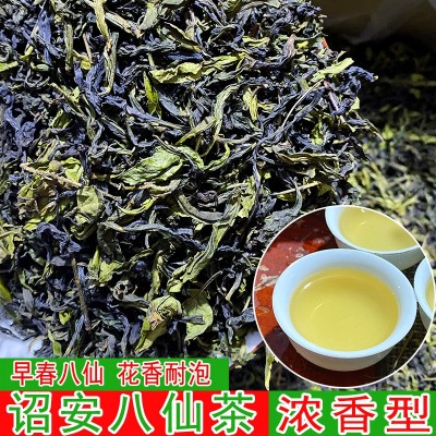 诏安八仙茶今年春茶诏安富硒八仙茶高山茶叶乌龙茶散装土山茶500g图3