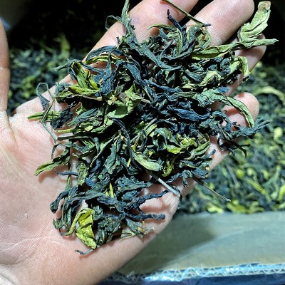 诏安八仙茶今年春茶诏安富硒八仙茶高山茶叶乌龙茶散装土山茶500g图2