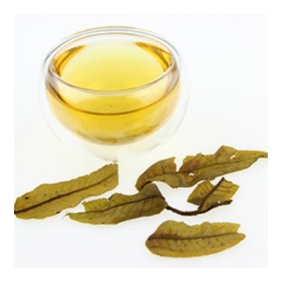 野生 嫩叶绥宁青钱柳茶500g图4