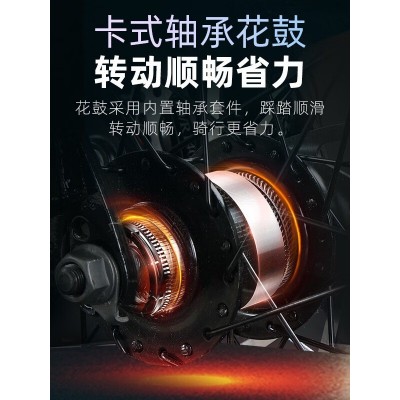 PHILLIPS软尾山地车自行车成人男学生双减震碟刹变速越野AM自行车图4