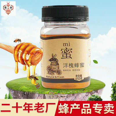 农家自产蜂产品450g土蜂蜜 洋槐蜂蜜批发 OEM代加工一件代发图3