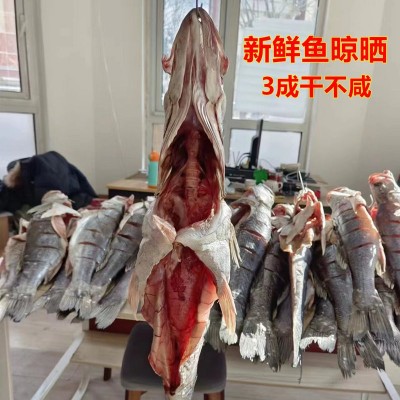 青岛特色大鲈鱼干海鲈鱼干自晒鱼干风干鱼特产高品质海鱼礼品图2