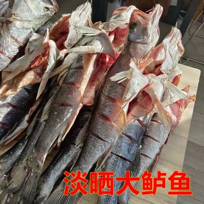 青岛特色大鲈鱼干海鲈鱼干自晒鱼干风干鱼特产高品质海鱼礼品图3