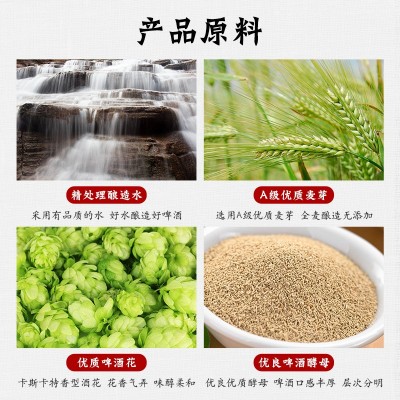 青岛特产500ml拉格原浆黄啤酒12瓶装箱装线下商超餐饮KTV批发拿货图4