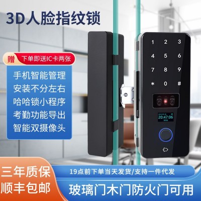 3D人脸识别玻璃门指纹锁 办公室涂鸦远程解锁密码刷卡智能锁图2