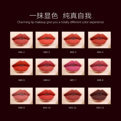 唯魅秀口红 不沾杯哑光雾面丝绒滋润保湿不脱妆显白唇膏唇彩 批发图2