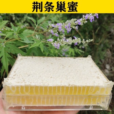 农家自产新鲜蜂巢蜜500g成熟全封盖荆条蜂巢蜜山花蜂蜜土特产批发图4