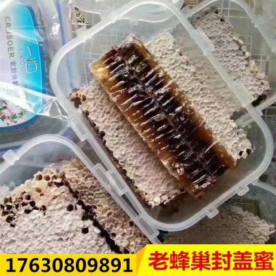 【鼻子不舒服吗】深山荆条老蜂巢蜜老巢蜜500g老脾蜜批发代理