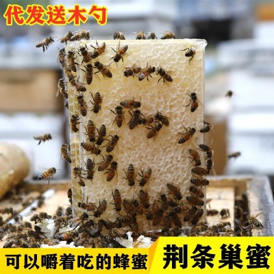 荆条蜂巢蜜成熟农家自产蜂巢蜜500g荆条巢蜜蜂蜜土特产代理图2