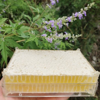 荆条蜂巢蜜成熟农家自产蜂巢蜜500g荆条巢蜜蜂蜜土特产代理图4