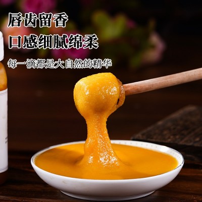 一件 代发定 制乡蕊土蜂蜜500g瓶装秦岭深山原生态天然蜂蜜