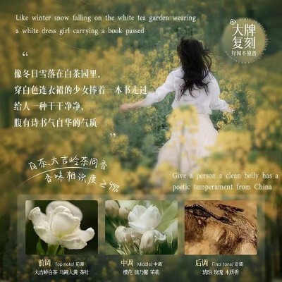 白茶洗发水一件起批正品去屑控油香水味持久留香沐浴露套 装洗头膏图4