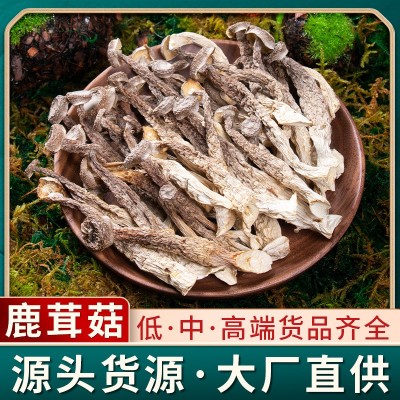 一件代发鹿茸菇250克干货菌菇脆脆菇煲汤食用菌西云珍坊淘宝爆款图3