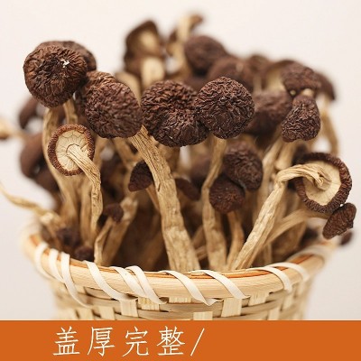 茶树菇干货煲汤菌汤包开伞不开伞蘑菇羊肚菌散装特级菌包整箱图2