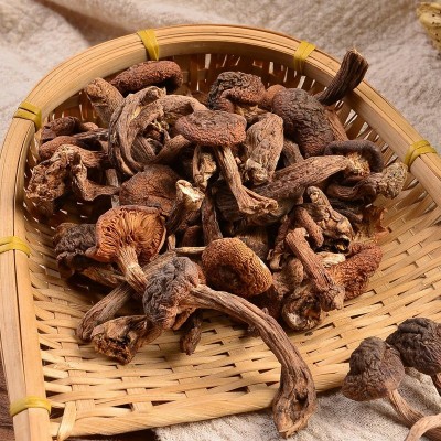 东北榛蘑干货去根小鸡炖蘑菇山蘑菇新货榛蘑产地批发工 厂一件批发图3