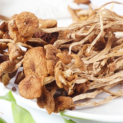 茶树菇批发云南茶树菇干货源头基地大量直供散装干蘑菇 大货供应图4