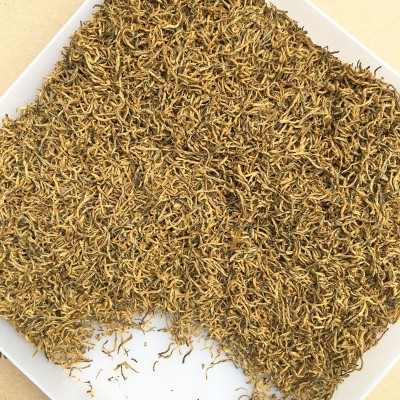 2024新茶黄金芽金骏眉红茶金骏眉茶叶散装芽中芽春茶小种红茶批发图3