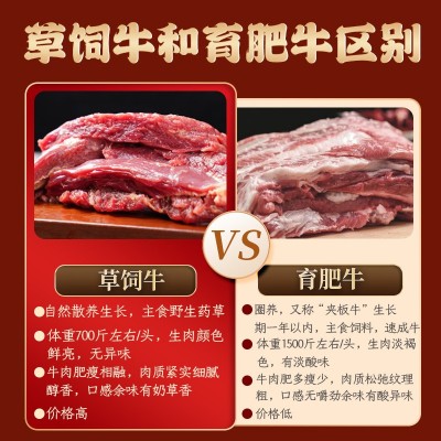 内蒙首农内蒙古牛肉干批发风干牛肉零食内蒙特产手撕风干牛肉干图2