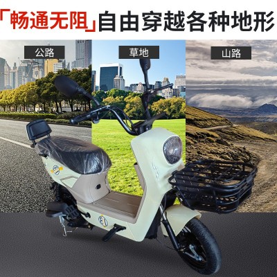 源头工厂两轮电动车通勤代步跨境厂家货源电动车两轮电瓶车图2