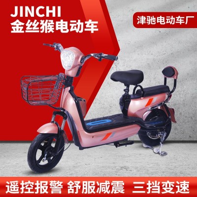 厂家货源批发国标金丝猴电动车小型车成人代步助力两轮电瓶车图3