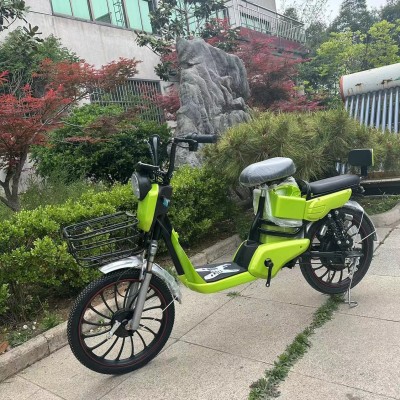 跨境新国标电瓶车男女通用代步电动自行车新款可带人长跑王电动车图4