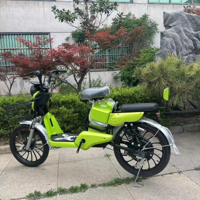 跨境新国标电瓶车男女通用代步电动自行车新款可带人长跑王电动车图3