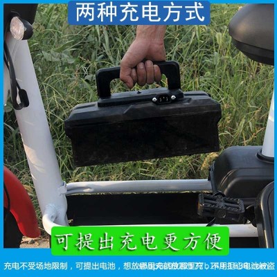 电瓶自行车电动车架子不带电池小型女士电动车双人电动单车電瓶车图2