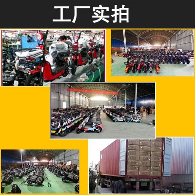 厂家直销长续航新款金鹰电动车成老人代步车电助力电动自行 车跨境图4
