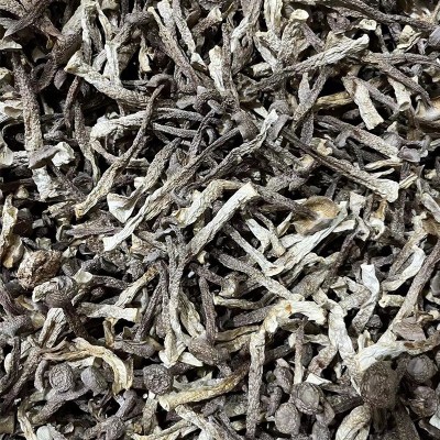 福建古田特产鹿茸菇散装500g食用冷香菌当季新鲜北风菌珊瑚菌批发图4