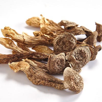 福建古田特产鹿茸菇散装500g食用冷香菌当季新鲜北风菌珊瑚菌批发图5