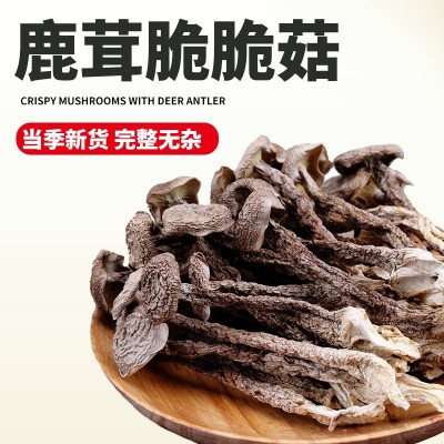 可批发鹿茸脆脆菇 袋装火锅底料菌菇家用煲汤爆炒炖煮干货鹿茸菇图3