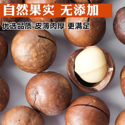 夏威夷果批发办公休闲小吃坚果网红零食干果原味200g袋装夏威夷果图2