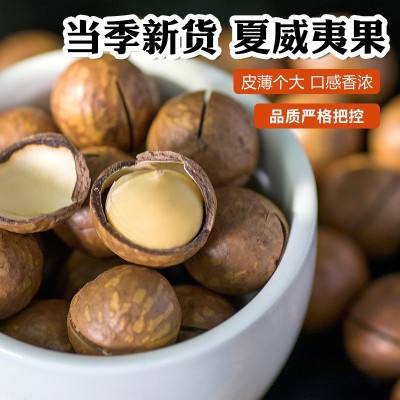 夏威夷果批发办公休闲小吃坚果网红零食干果原味200g袋装夏威夷果图3